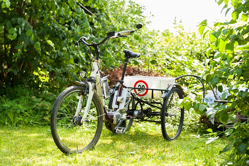 Parkpflege